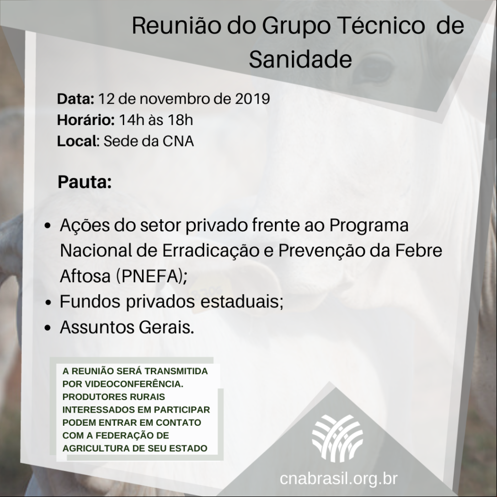 12 nov Sanidade Anima 12 nov Sanidade Anima