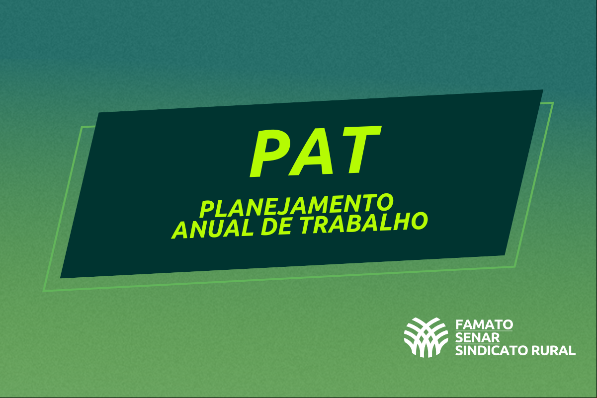 CAPAS SITE