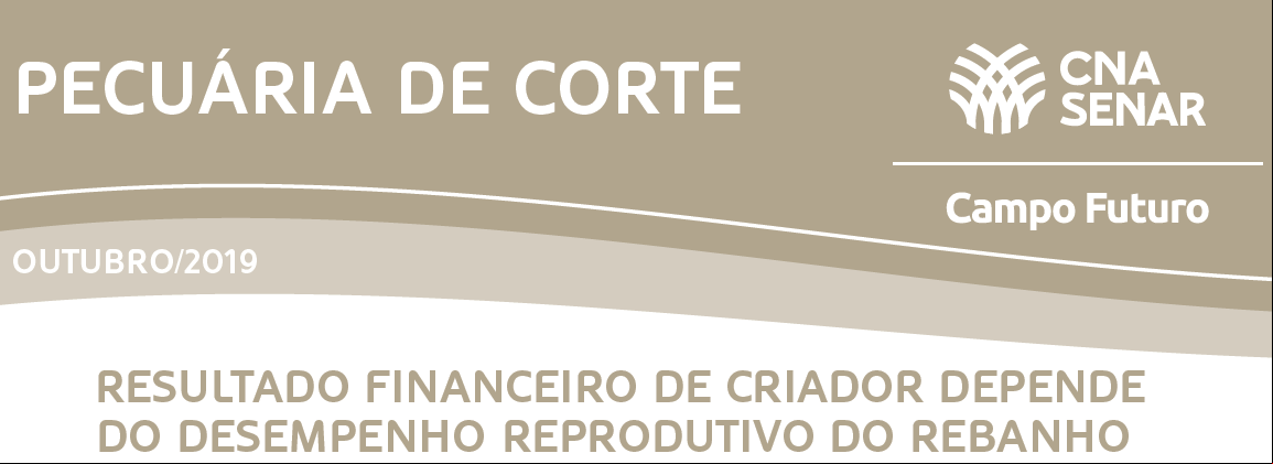 banner.png