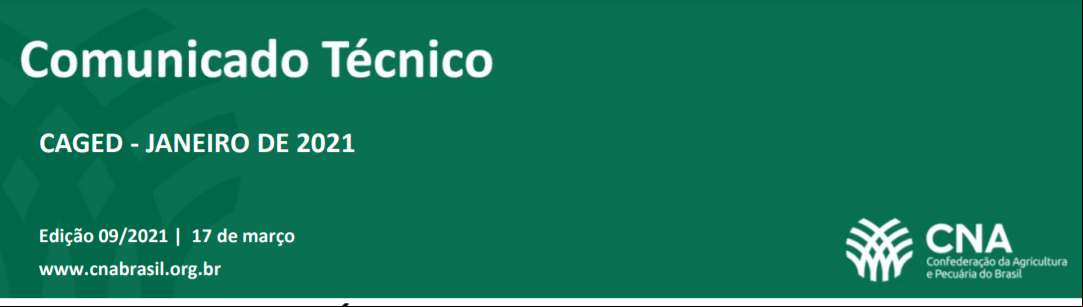 banner.png