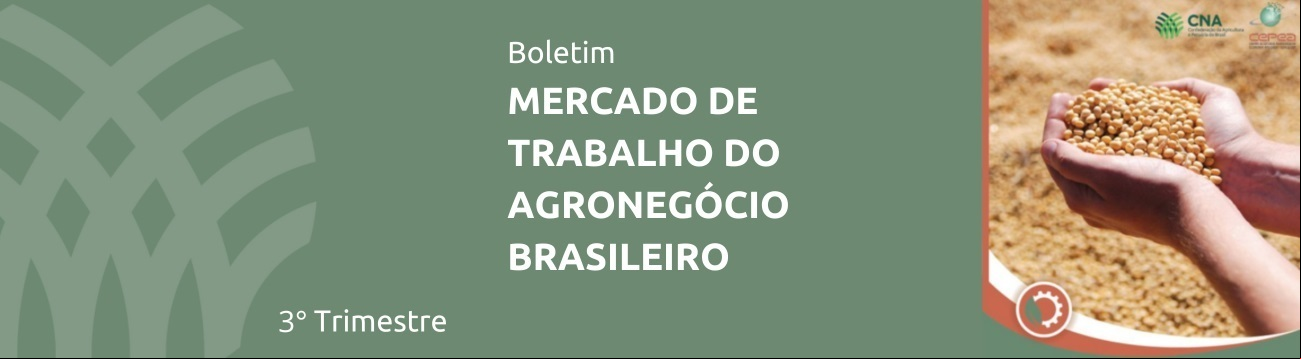 3deg Trimestre Mercado de Trabalho
