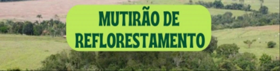 Faeg plantio