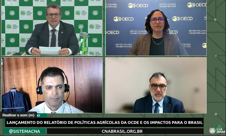 Felipe Live