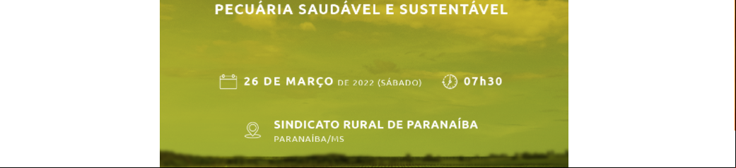 Circuito
