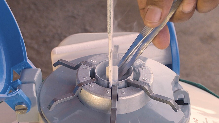 Curso inseminacao abre