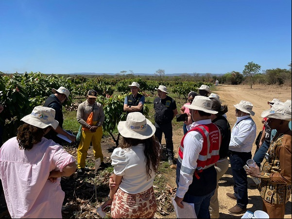 Visita técnica à produção de cacau no Oeste da BA. Visita técnica à produção de cacau no Oeste da BA.