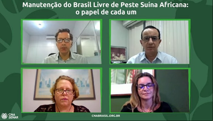 Peste suina Peste suina