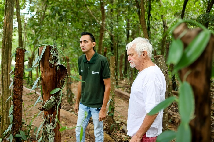 Plantacao dr baunilha em estacas caso de sucesso baunilha cocalzinho de goias 06 05 2024 fredoxcarvalho 98